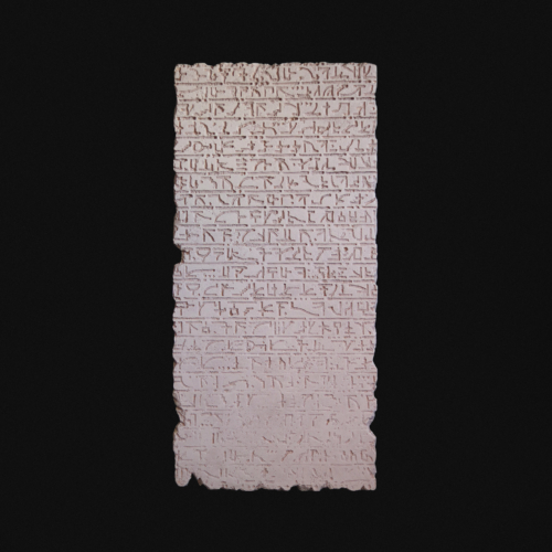 Vestige N°6